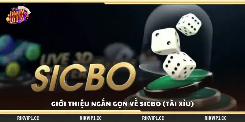 Tổng quan nhanh về trò Sicbo (Tài Xỉu)