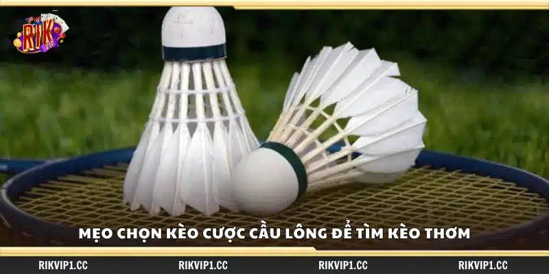 Mẹo chọn kèo cược cầu lông để tìm kèo thơm